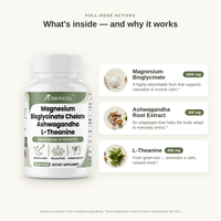 Sleep + Stress 40+ — Magnesium Bisglycinate, Ashwagandha & L-Theanine